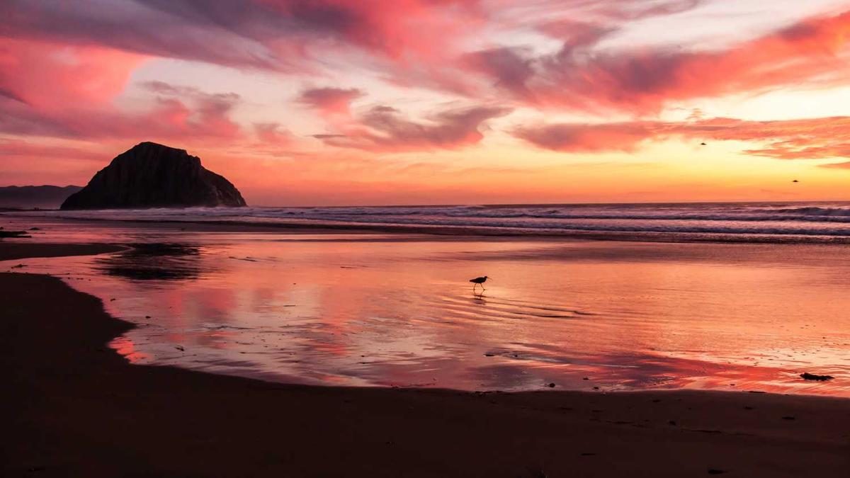 Achtsamkeitsmeditation fuer Anfaenger: Der komplette Guide 2025