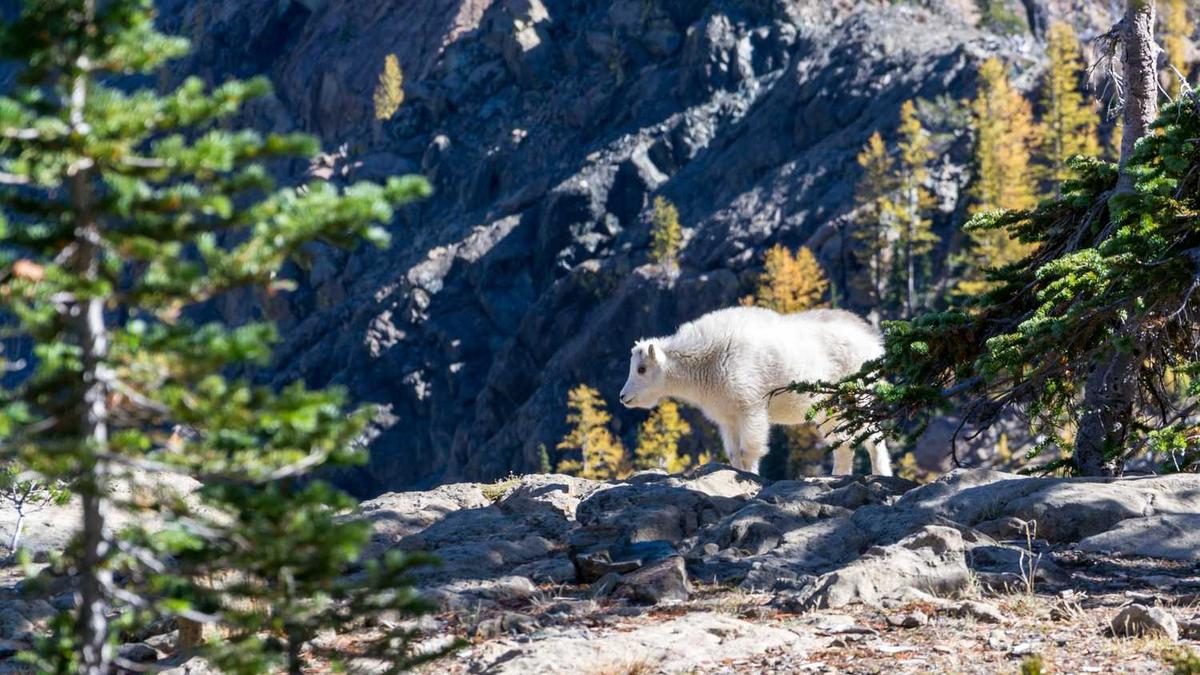 Burnout Praevention: Fruehwarnzeichen erkennen und handeln