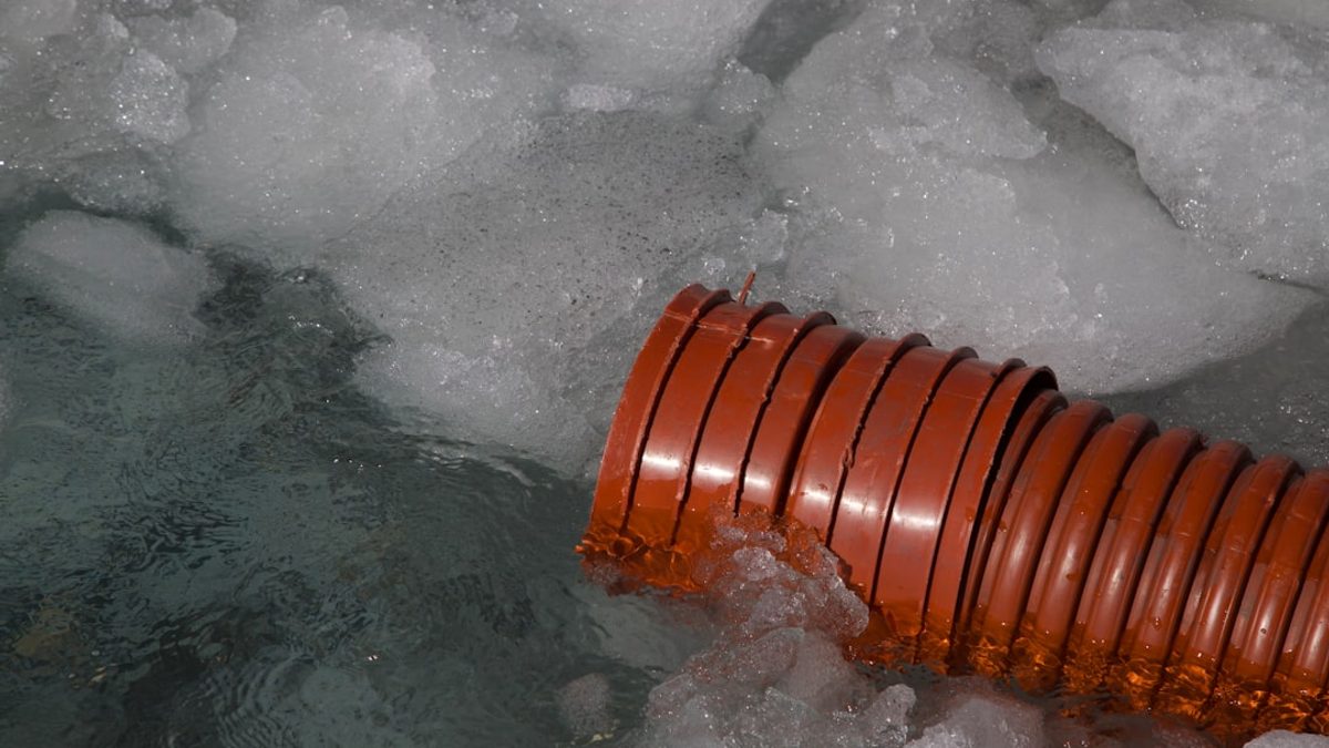 Cold Plunge: Warum Eisbaden so gesund ist