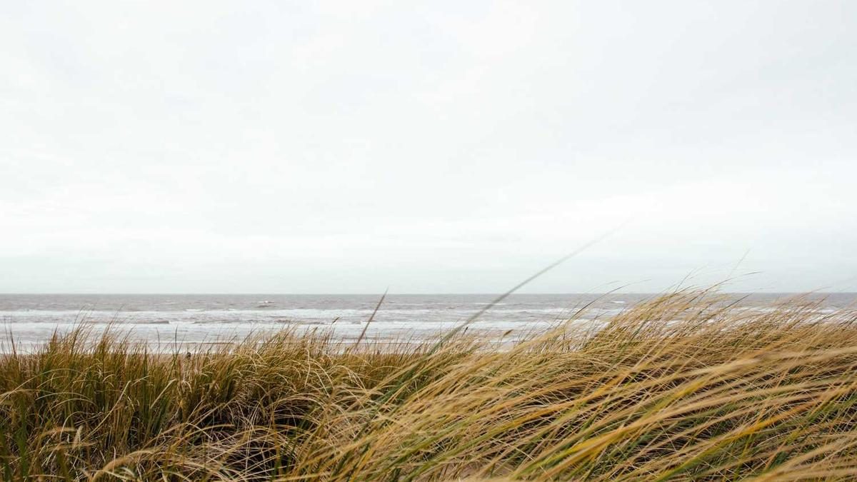 Digital Detox 2025: Wissenschaftlich fundierte Strategien fuer mehr Wohlbefinden