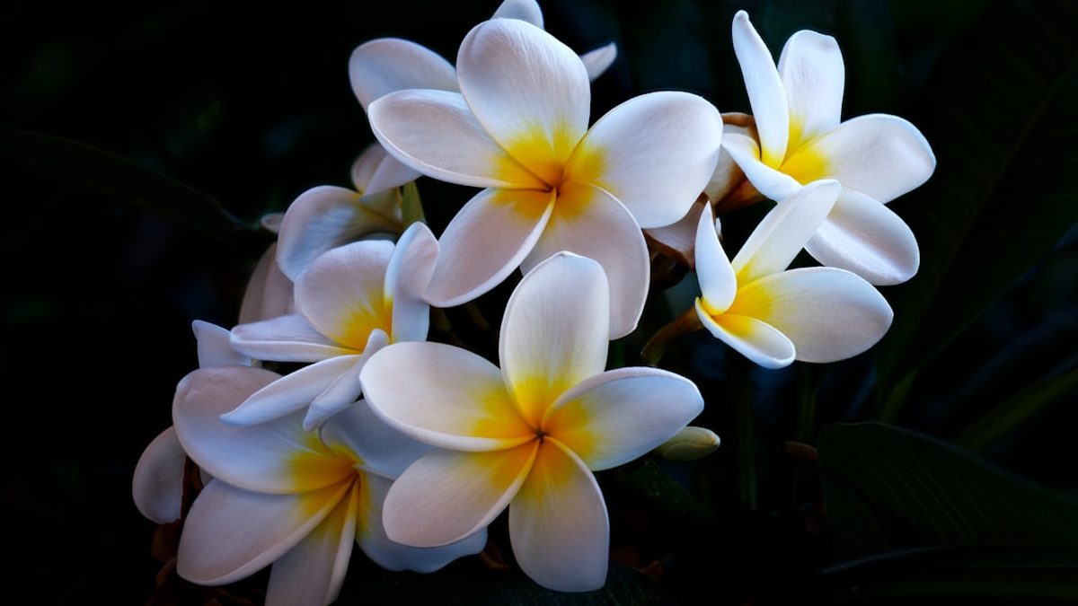 Emotionale Fitness: Der neue Wellness-Trend