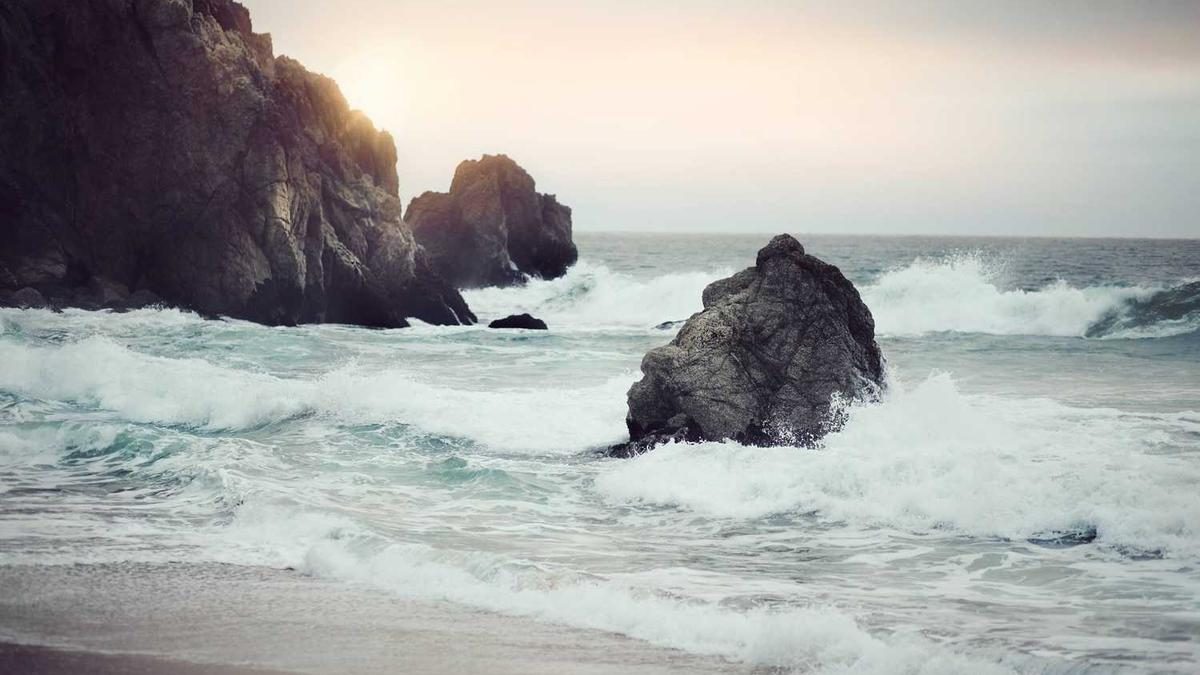 Ernaehrung fuer starke Knochen: Praevention von Osteoporose