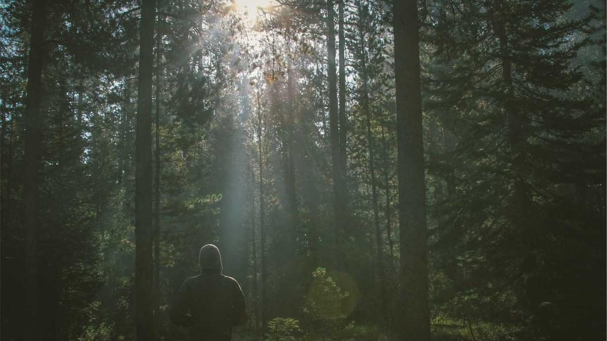 NAD+ und Zellerneuerung: Die Wissenschaft hinter dem Anti-Aging 2025