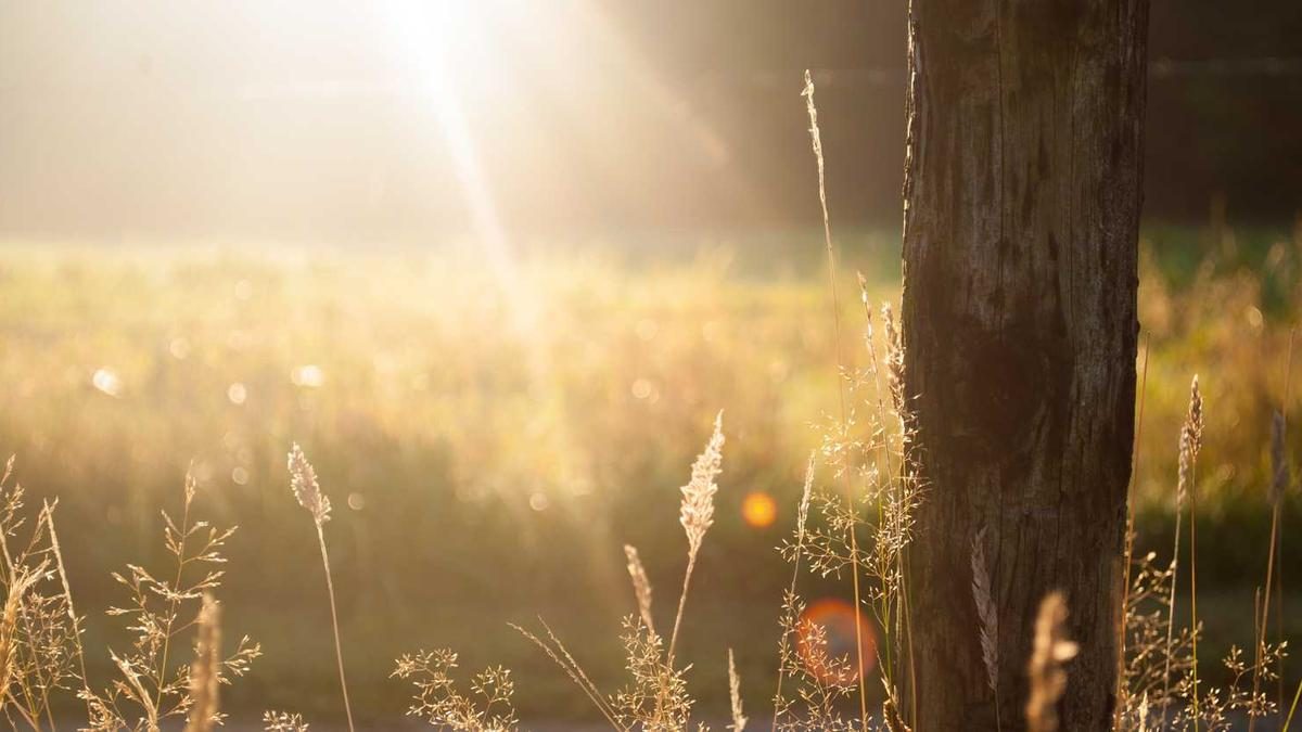 Resilienz trainieren: Staerker durch Krisen gehen